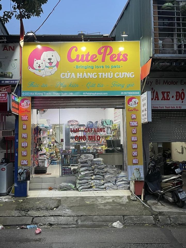 Sang nhượng Petshop tai 223 Bùi Xuơng Trạch, Thanh Xuân, Hà Nội 13892639