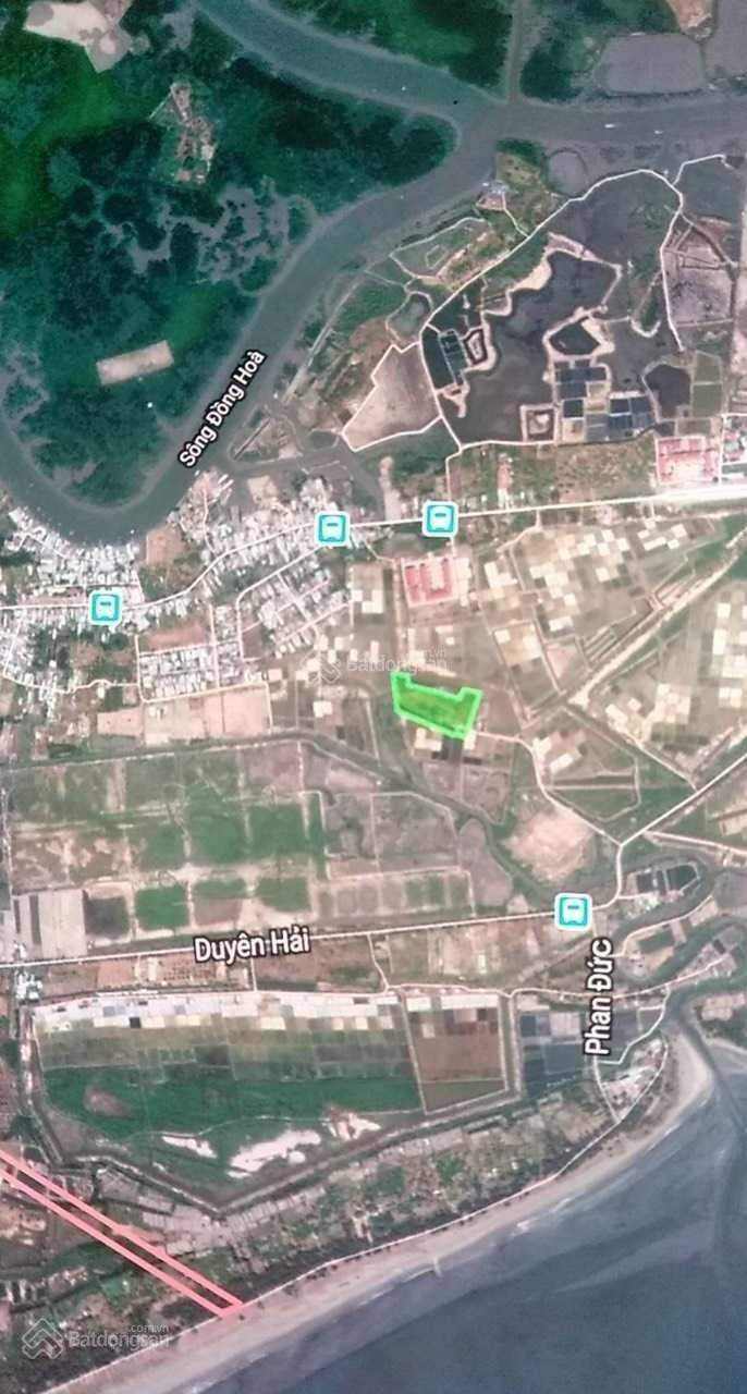 Cần bán rất gấp lô đất Xã Long Hòa - Cần Giờ 8808m². 13892771