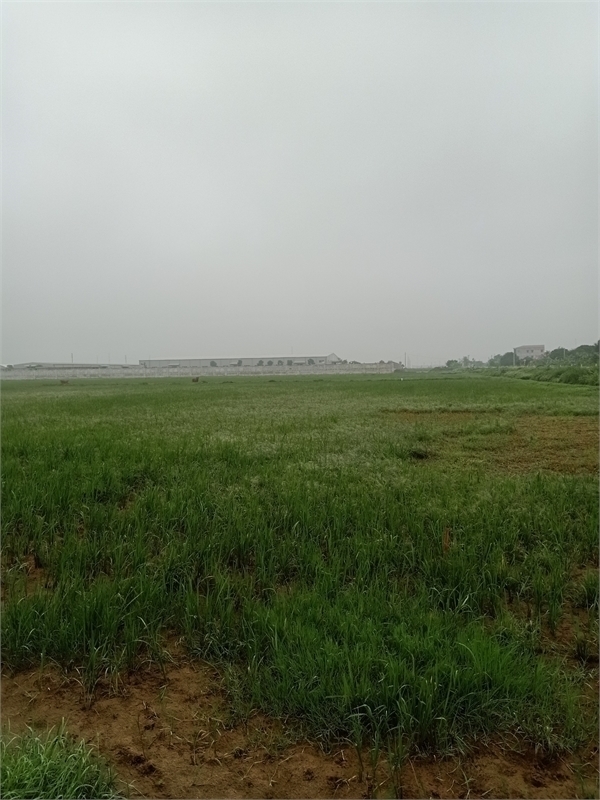 Cần bán 1,6ha đất công nghiệp 50 năm tại Xã Song Mai, Thành Phố Bắc Giang 13894276