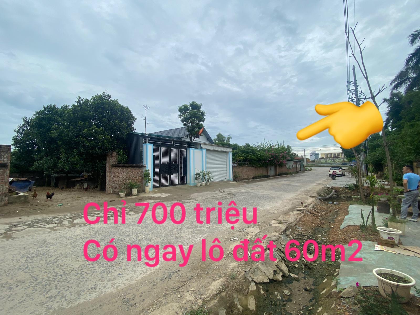 BÁN GẤP 60,9M2 THÔN 2 THẠCH HOÀ CÁCH ĐH QG 900M GIÁ CHỈ 750 TRIỆU
 13901631