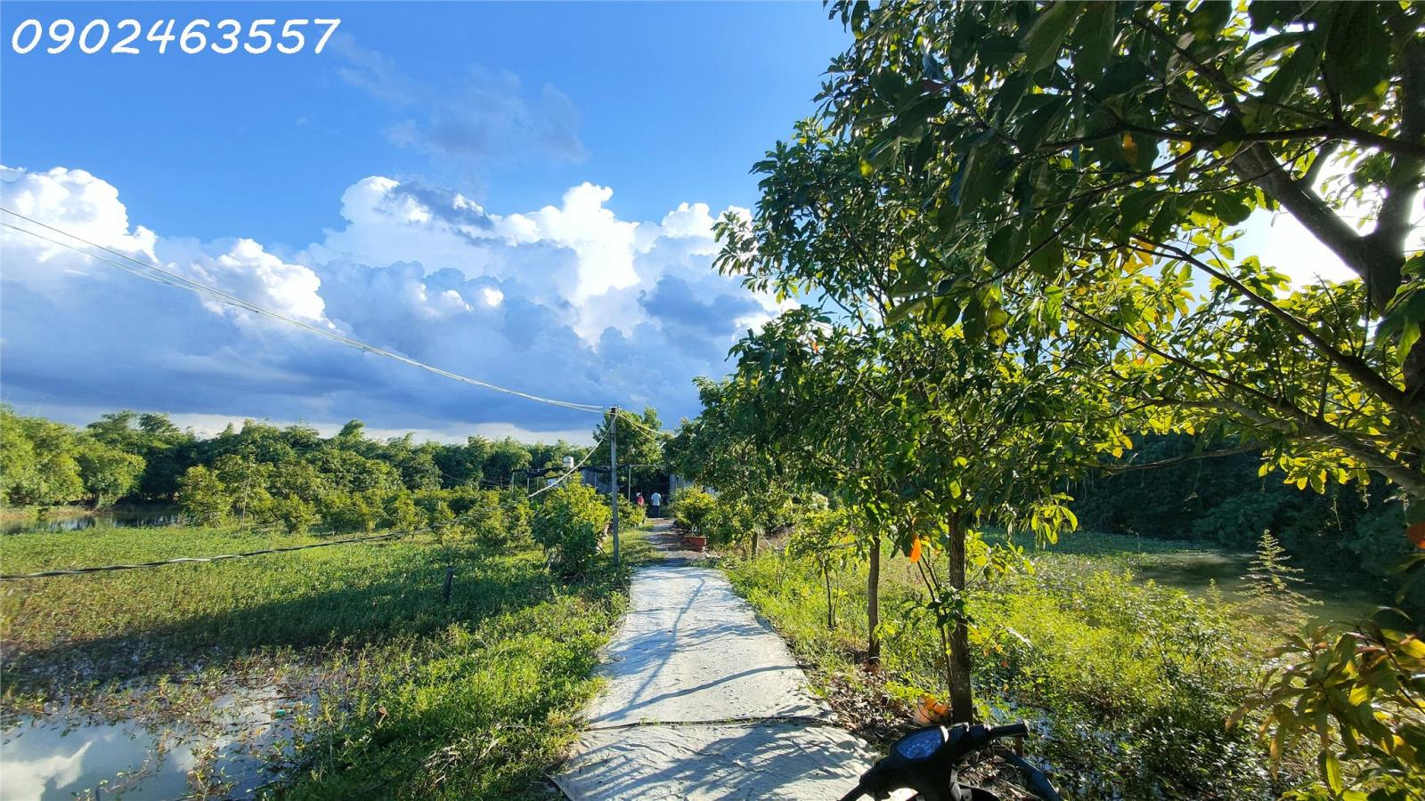 Nghỉ Dưỡng Hoàn Hảo: Khám Phá Óc Đảo Tiềm Năng tại Tây Ninh 13908418