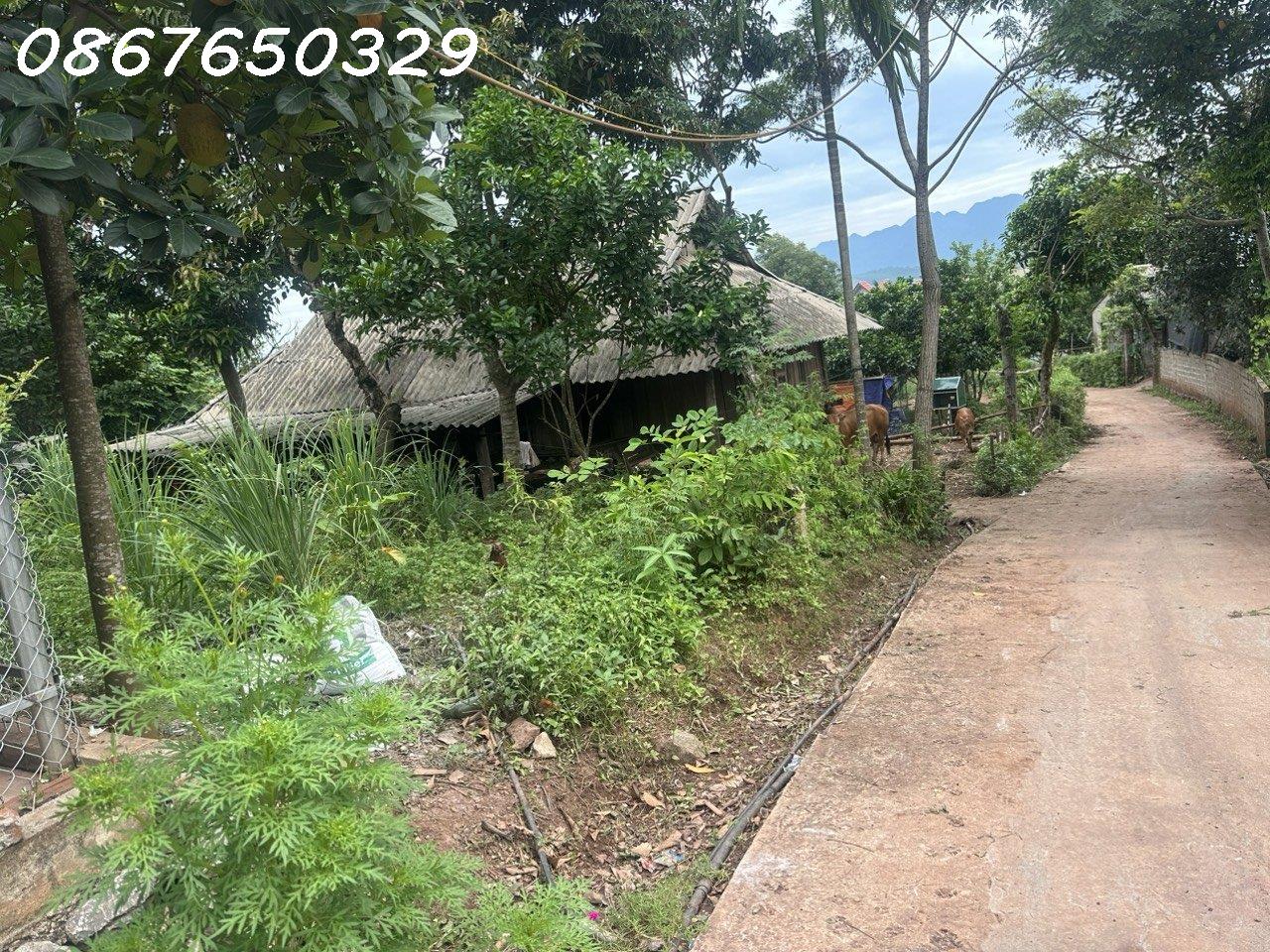 Chính chủ cần bán lô full thổ cư, giá đầu tư , Xã Đông Lai, Tân Lạc, Hòa Bình 13923568