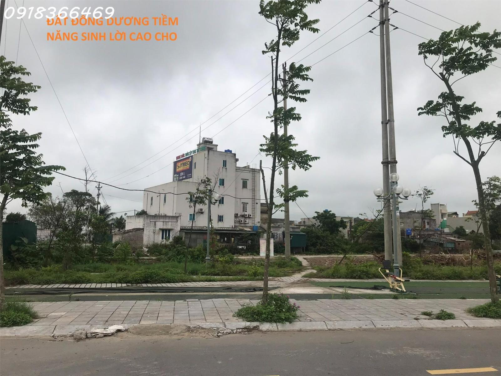 Bán đất giá rẻ ven thành phố Thái Bình giá 5.9 tr/m2, giá gốc 9 tr/m2 13933892
