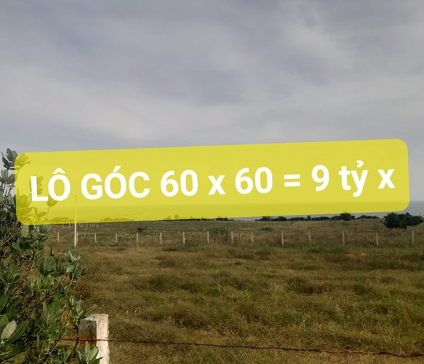 3600m2 có 9 tỷ x Ngyễn Thị Rành Trung Lập Hạ Củ Chi TPHCM 13948008