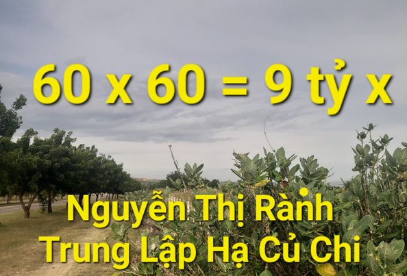 3600m2 có 9 tỷ x Ngyễn Thị Rành Trung Lập Hạ Củ Chi TPHCM 13948008