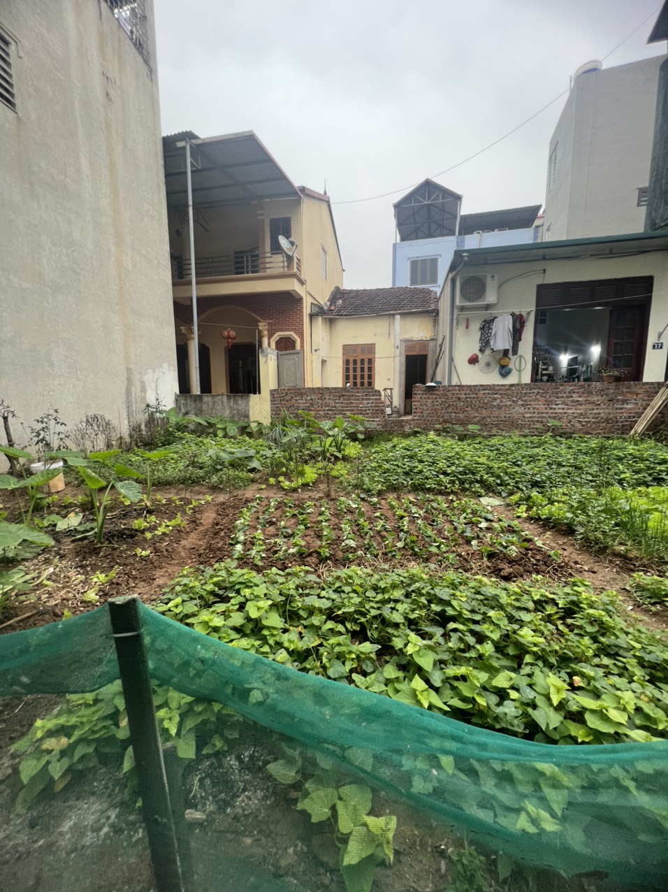 42,9m đất + LÔ GÓC - Tổ 6 YÊN nghĩa Hà Đông chính chủ bán phá giá chỉ hơn 1 tỷ
 diện tích 42,9m đất 13962950