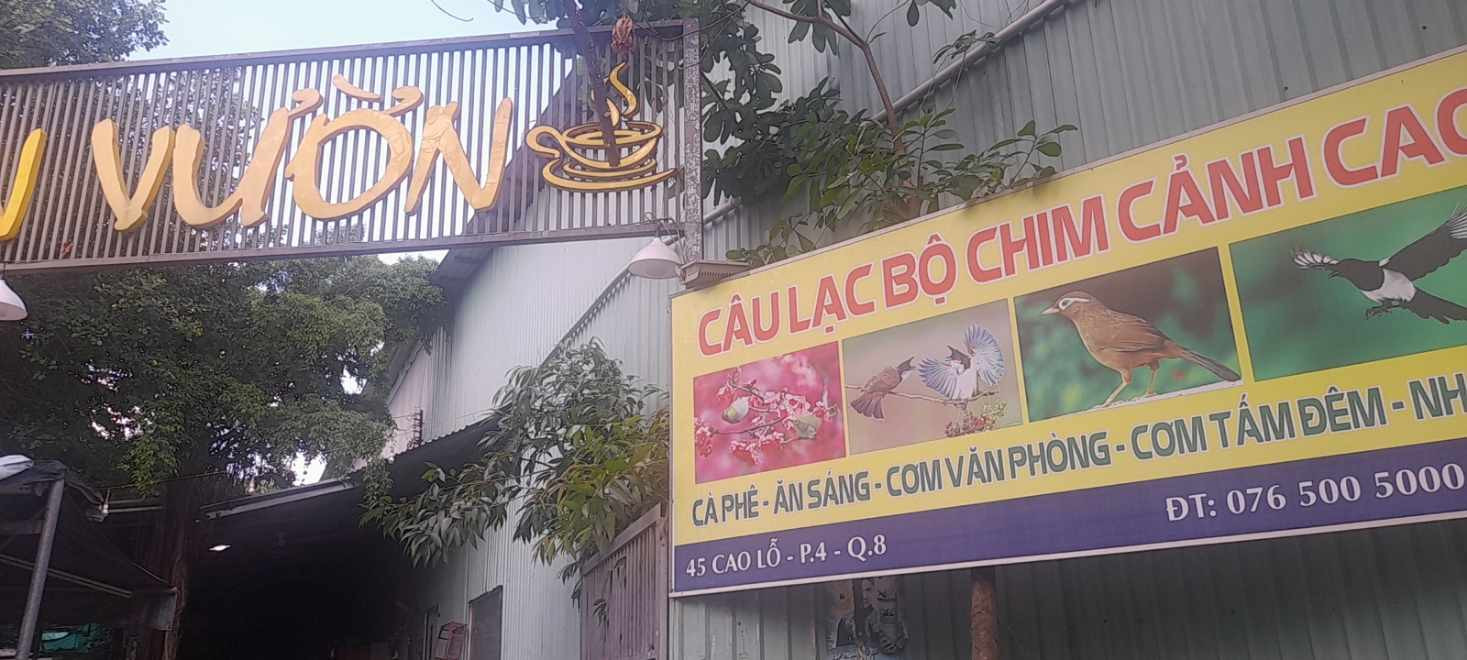 SANG NHƯỢNG QUÁN CAFE - CHIM - CƠM BÌNH DÂN ĐỊA CHỈ 45 CAO LỖ, PHƯỜNG 4, QUẬN 8, THÀNH PHỐ HỒ CHÍ 13971218