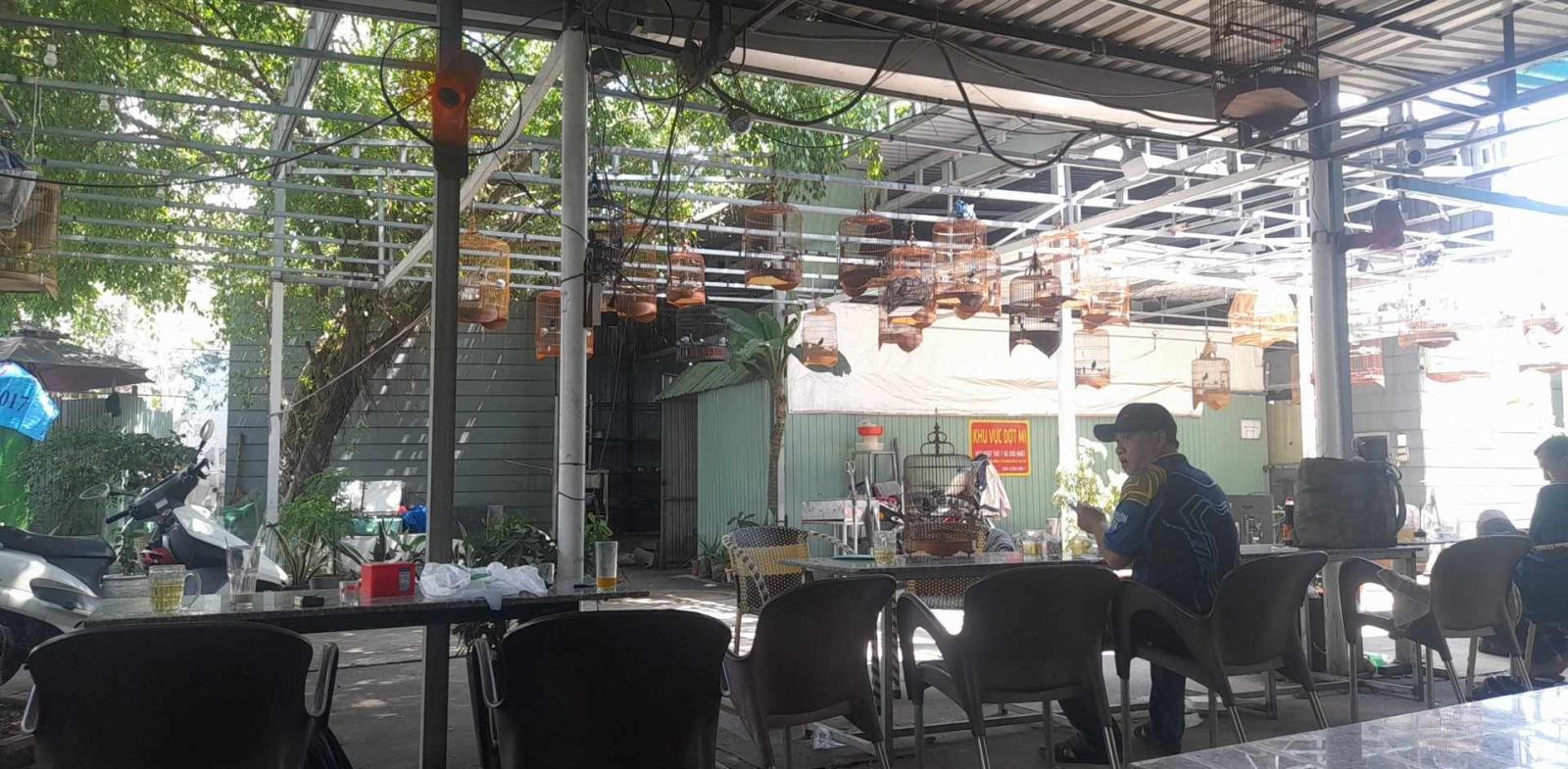 SANG NHƯỢNG QUÁN CAFE - CHIM - CƠM BÌNH DÂN ĐỊA CHỈ 45 CAO LỖ, PHƯỜNG 4, QUẬN 8, THÀNH PHỐ HỒ CHÍ 13971218