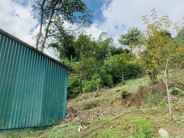 Cần bán lô đất gần trung tâm SAPA đón sóng quy hoạch  13973677