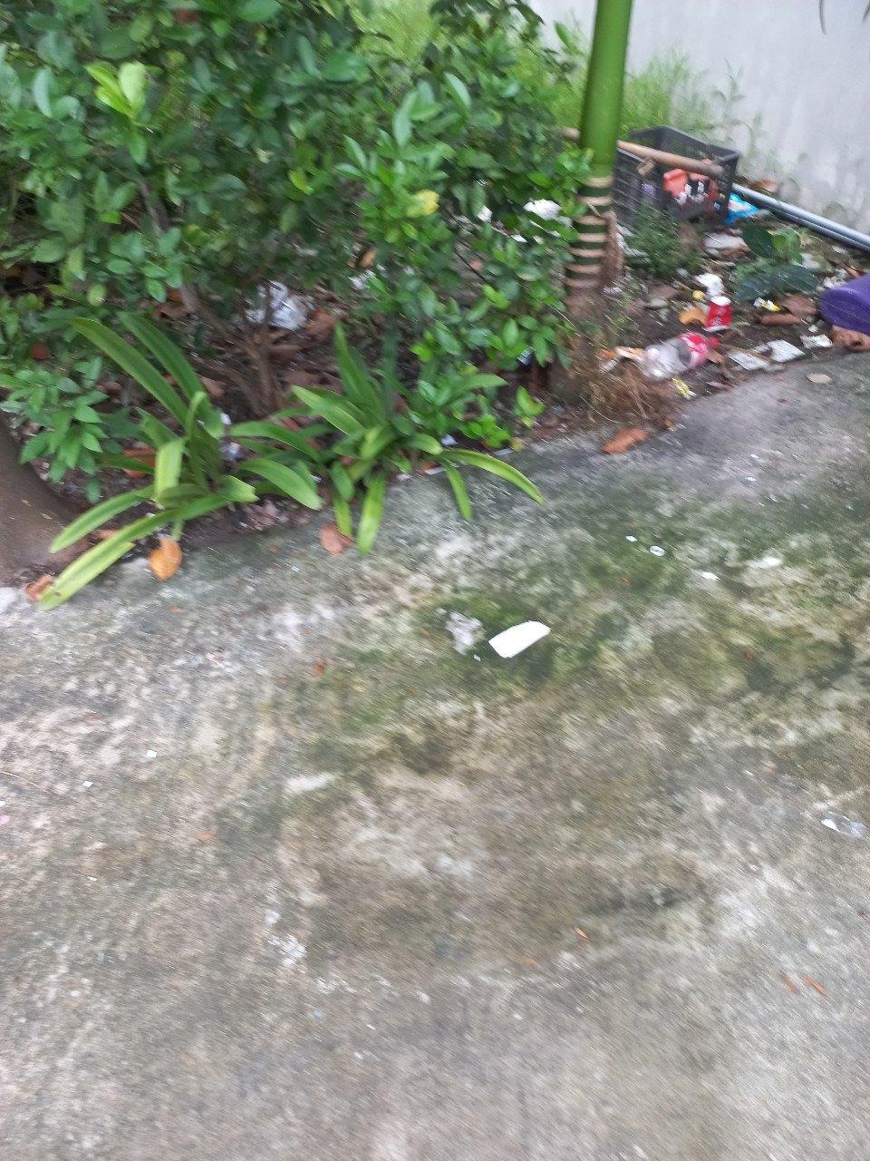 ĐẤT ĐẸP - GIÁ TỐT – CẦN BÁN NHANH Lô Đất Đẹp Tại P. Hà Tu- Hạ Long 13982644