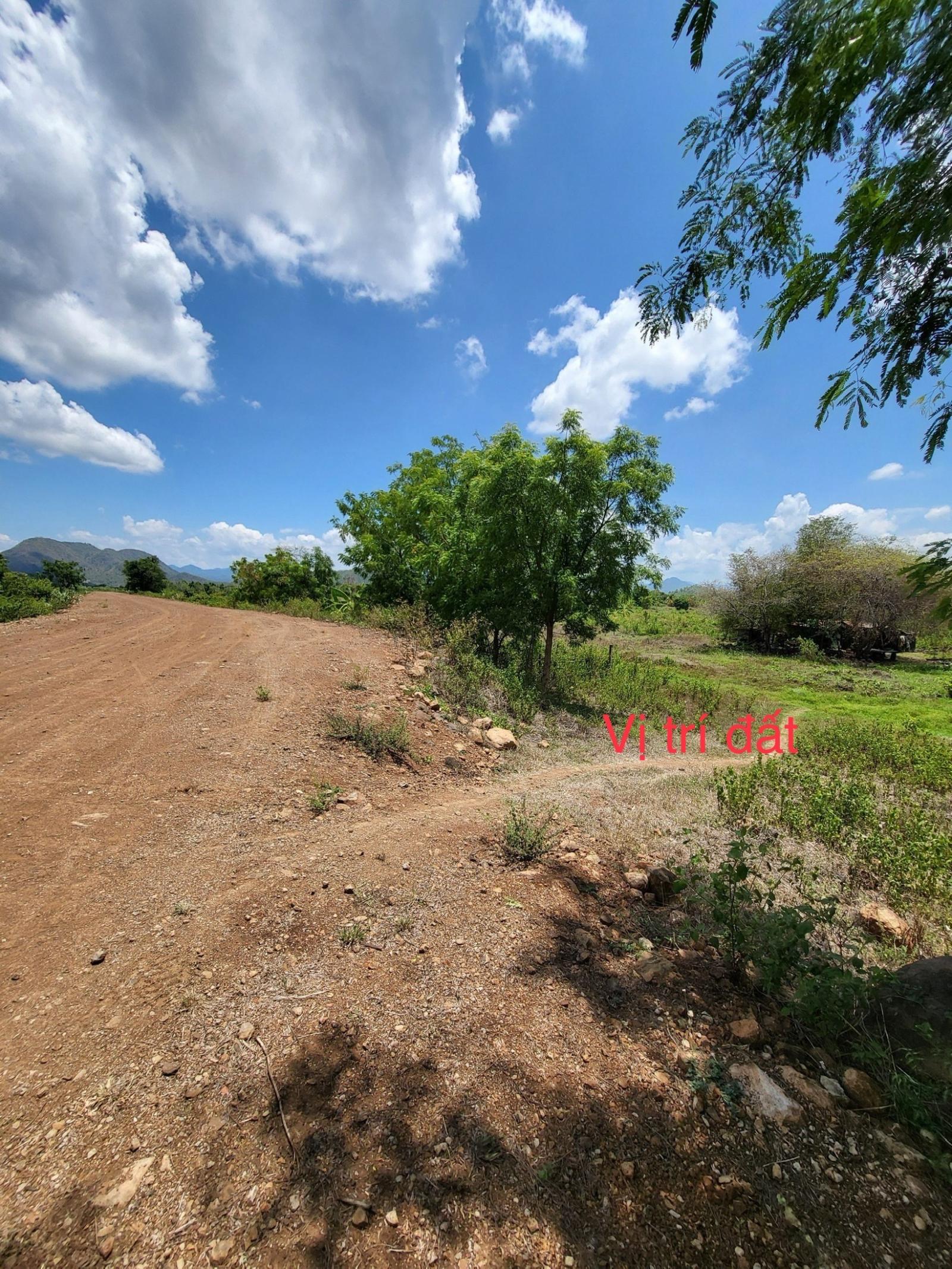 ✅ ĐẤT BÌNH THUẬN - LƯNG TỰA NÚI - MẶT HƯỚNG SÔNG - 5,000 m2 - CHỈ 950 TRIỆU
 13984829