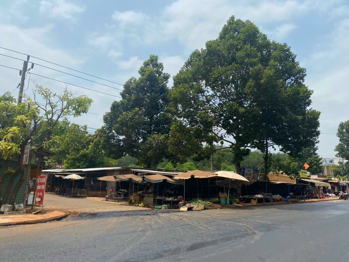 Ngộp ngân hàng cần bán gấp lô đất ĐT756 giá 670tr 14003722