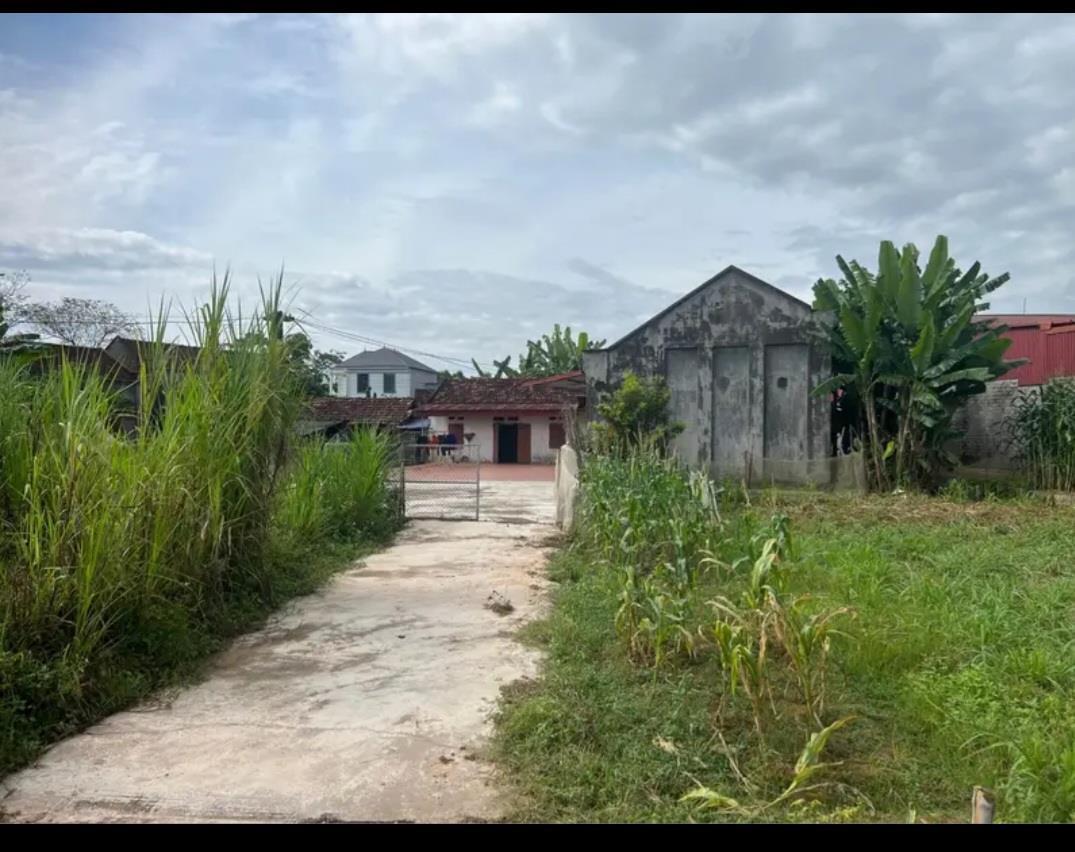 CỰC HIẾM) Bán lô đất tận 610 m2 có 200 thổ cư nằm sát ngay khu đô thị DanKo trung tâm huyện Phú 14005062