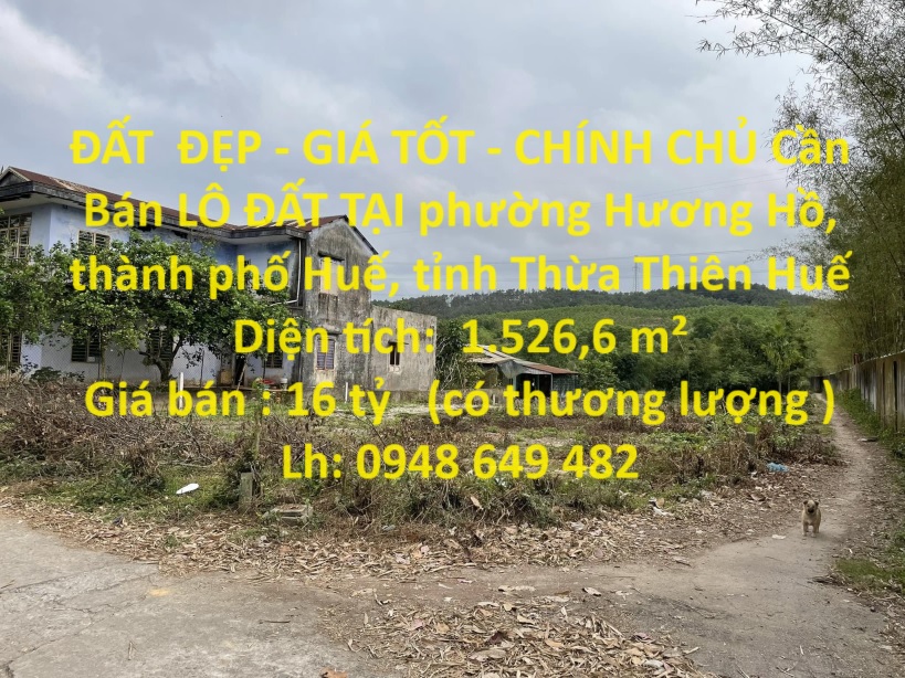 ĐẤT  ĐẸP - GIÁ TỐT - CHÍNH CHỦ Cần Bán LÔ ĐẤT TẠI  Phường Hương Hồ, Hương Trà, Thừa Thiên Huế 14008362