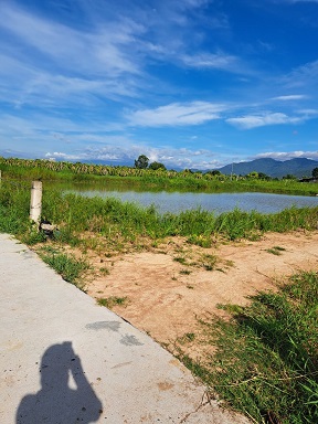 SIÊU PHẨM GIÁ RẺ - 1 SÀO THÔN 2 HÀM LIÊN QUY HOẠCH THỔ CƯ - TỈNH BÌNH THUẬN 14011970