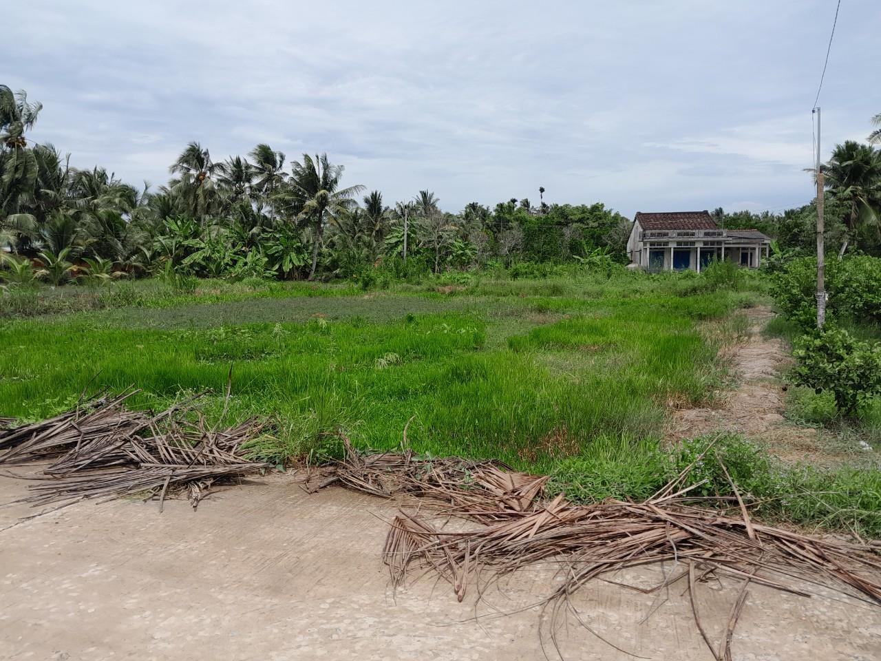 Cần Bán Nhanh Lô Đất Tiềm năng- Giá Tốt tại huyện Tam Bình, tỉnh Vĩnh Long 14021231