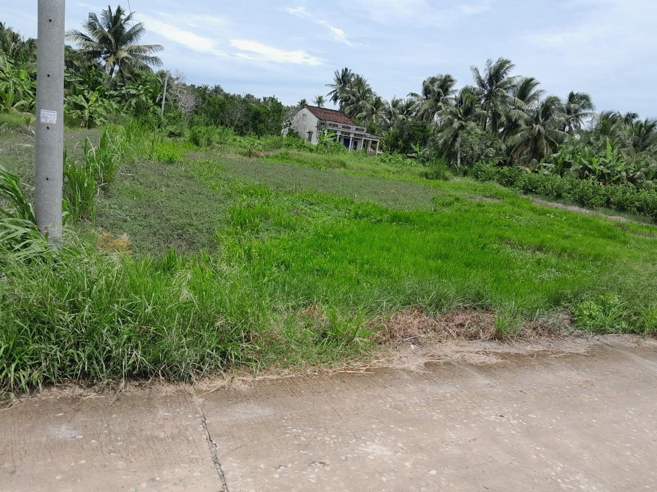 Cần Bán Nhanh Lô Đất Tiềm năng- Giá Tốt tại huyện Tam Bình, tỉnh Vĩnh Long 14021235