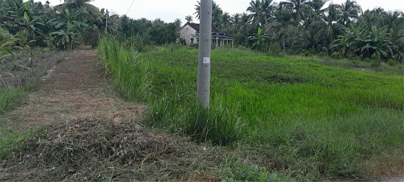 Cần Bán Nhanh Lô Đất Tiềm năng- Giá Tốt tại huyện Tam Bình, tỉnh Vĩnh Long 14021235