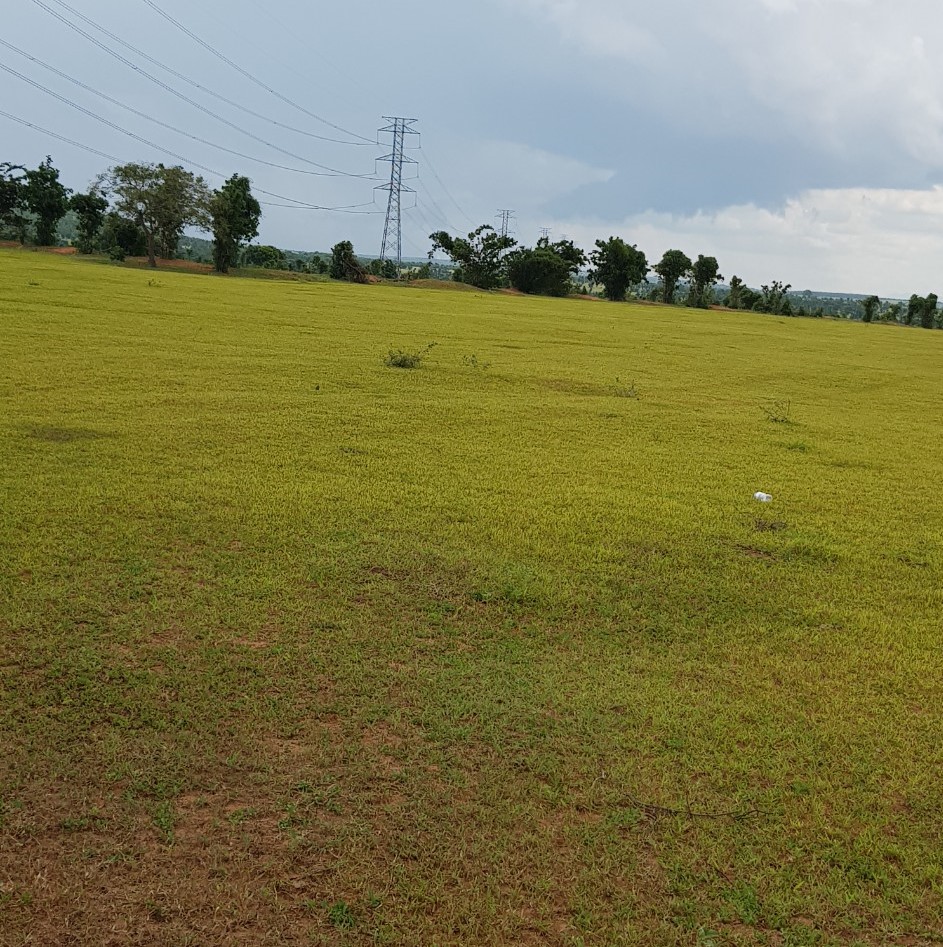 Bán 2500m2 đất vườn hồng thái sổ sẵn giá rẻ chỉ 187tr Lh 0938677909 xem sổ 14022391