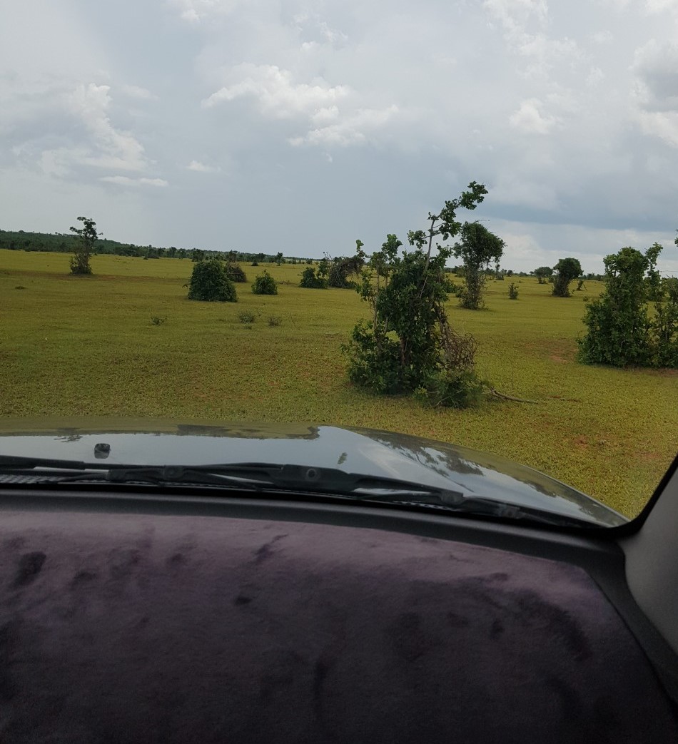 Bán 2500m2 đất vườn hồng thái sổ sẵn giá rẻ chỉ 187tr Lh 0938677909 xem sổ 14022391