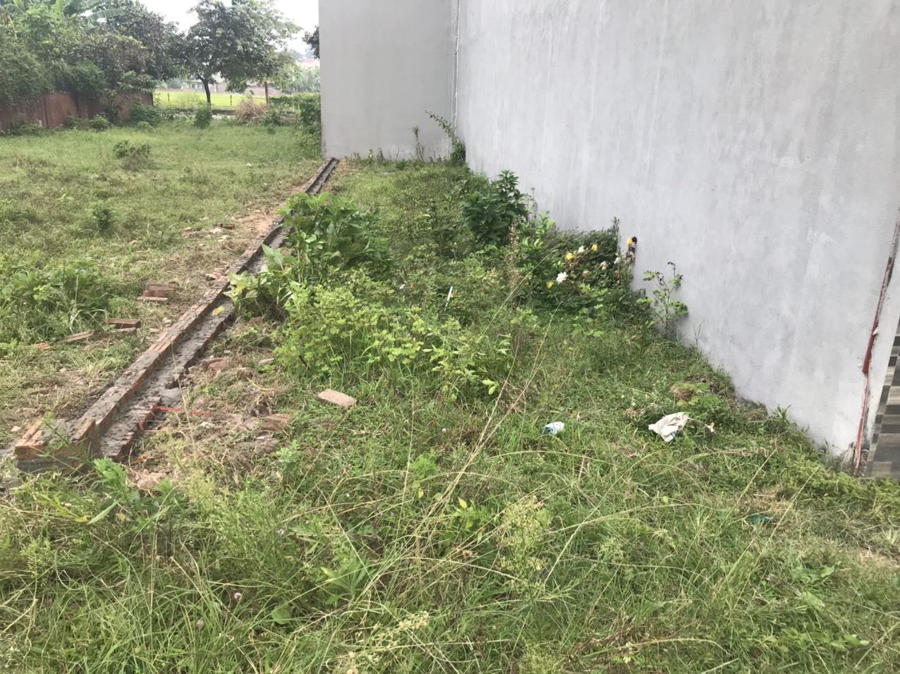 BÁN 48M ĐẤT KHU  ÁI ĐỊNH CƯ TIÊN DƯỢC SÓC SƠN HÀ NỘI 14024202