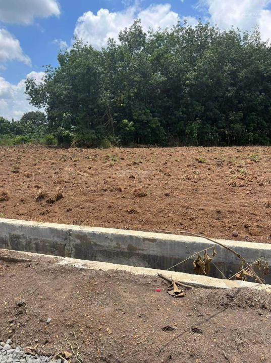 2 SÀO ĐẤT TRỒNG CÂY, HAI MẶT TIỀN, LỘC PHÚ, LỘC NINH, BP, 1,35 TỈ 14036920