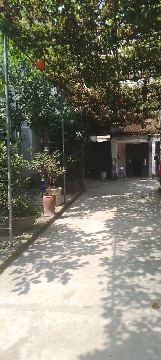 ĐẤT ĐẸP - GIÁ TỐT – Chính Chủ Bán Nhanh Lô Đất Vị Trí Đẹp Tại Ứng Hòa, Hà Nội 14043374