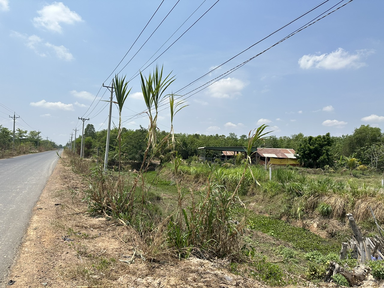 Bán đất đường nhựa xã Ninh Điền, Châu Thành, Tây Ninh: 17 x 54, giá 1,86 tỷ. 14046353