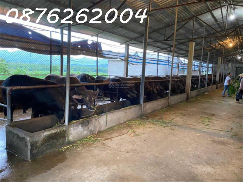 Chính chủ cần bán đất trang trại, khu nghỉ dưỡng 70.000m2 tại Lạc Thủy, Hòa Bình - Giá 1X tỷ 14064173