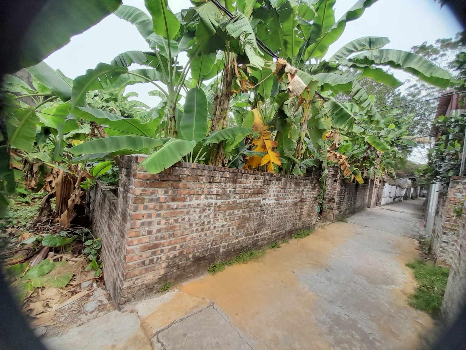 Bán Đất Xã Hồng Hà - Đan Phượng 100m2 mặt tiền 6,78m nở hậu đẹp, sau quy hoạch giá trị tăng gấp 14069193