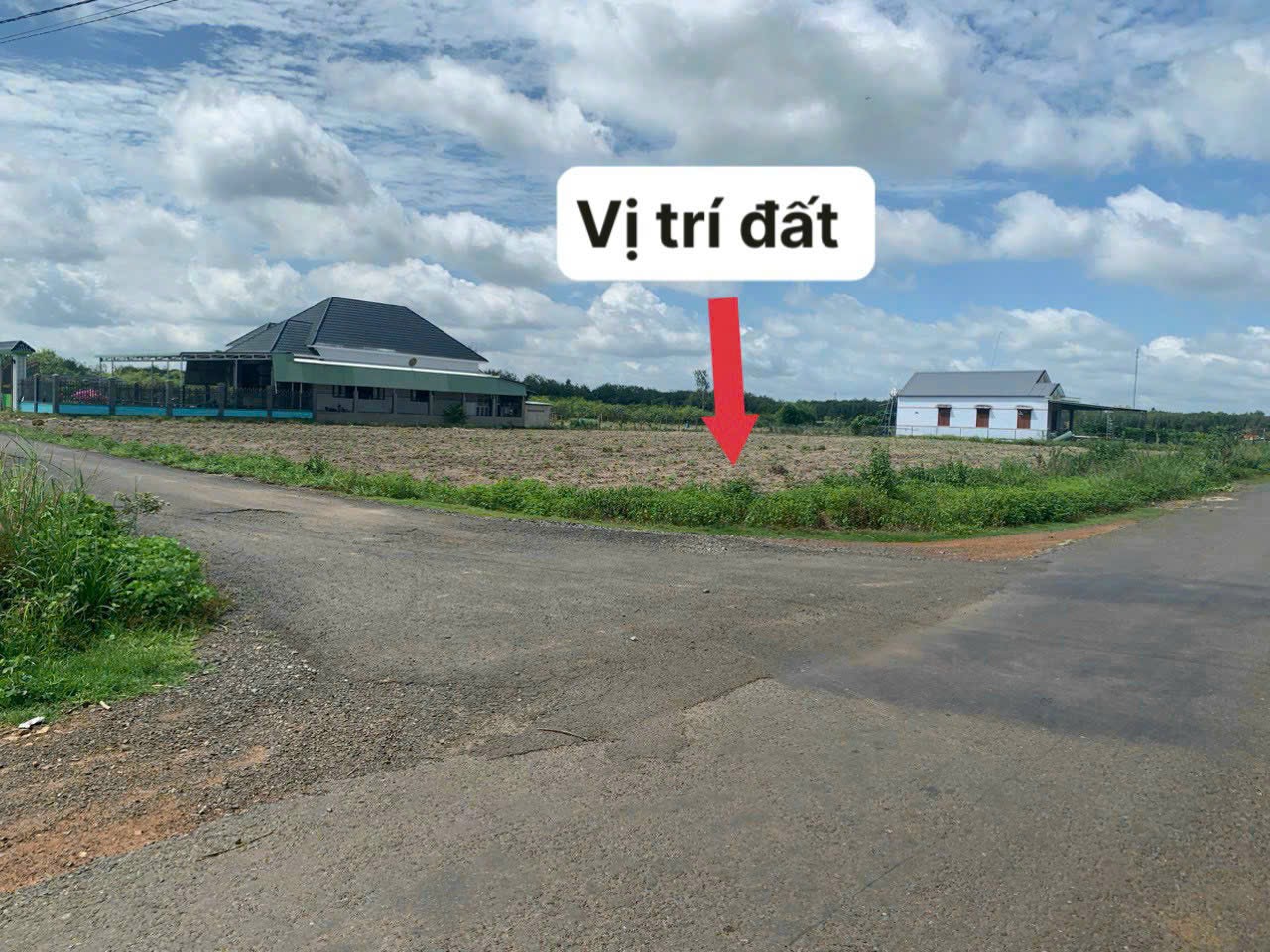 Đất mặt tiền đường nhựa 32m xuyên tâm KCN Tân Quan 14091087