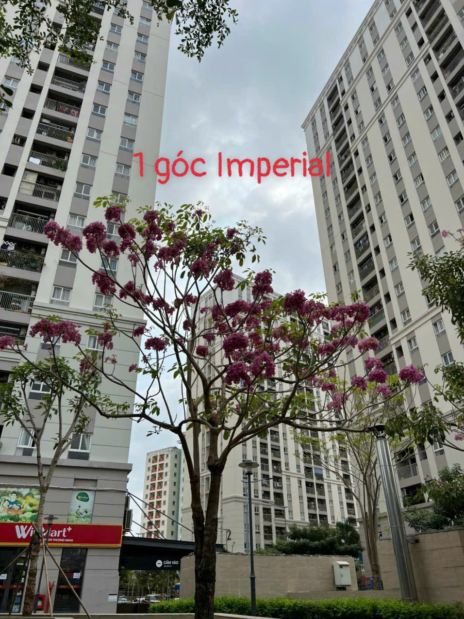 Bán Chung cư IMPERIAL PLACE GIÁ RẺ - ĐẦY ĐỦ TIỆN ÍCH tại Bình Tân. Giá 1.6 tỷ. Thuê từ 6tr/th 14093303