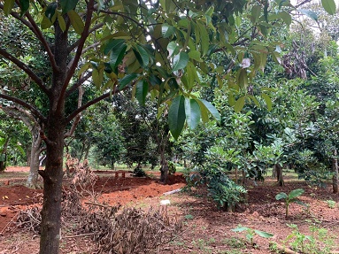 Chính chủ cần bán gấp lô đất tại Bình Lộc - Long Khánh - Đồng Nai 14098347