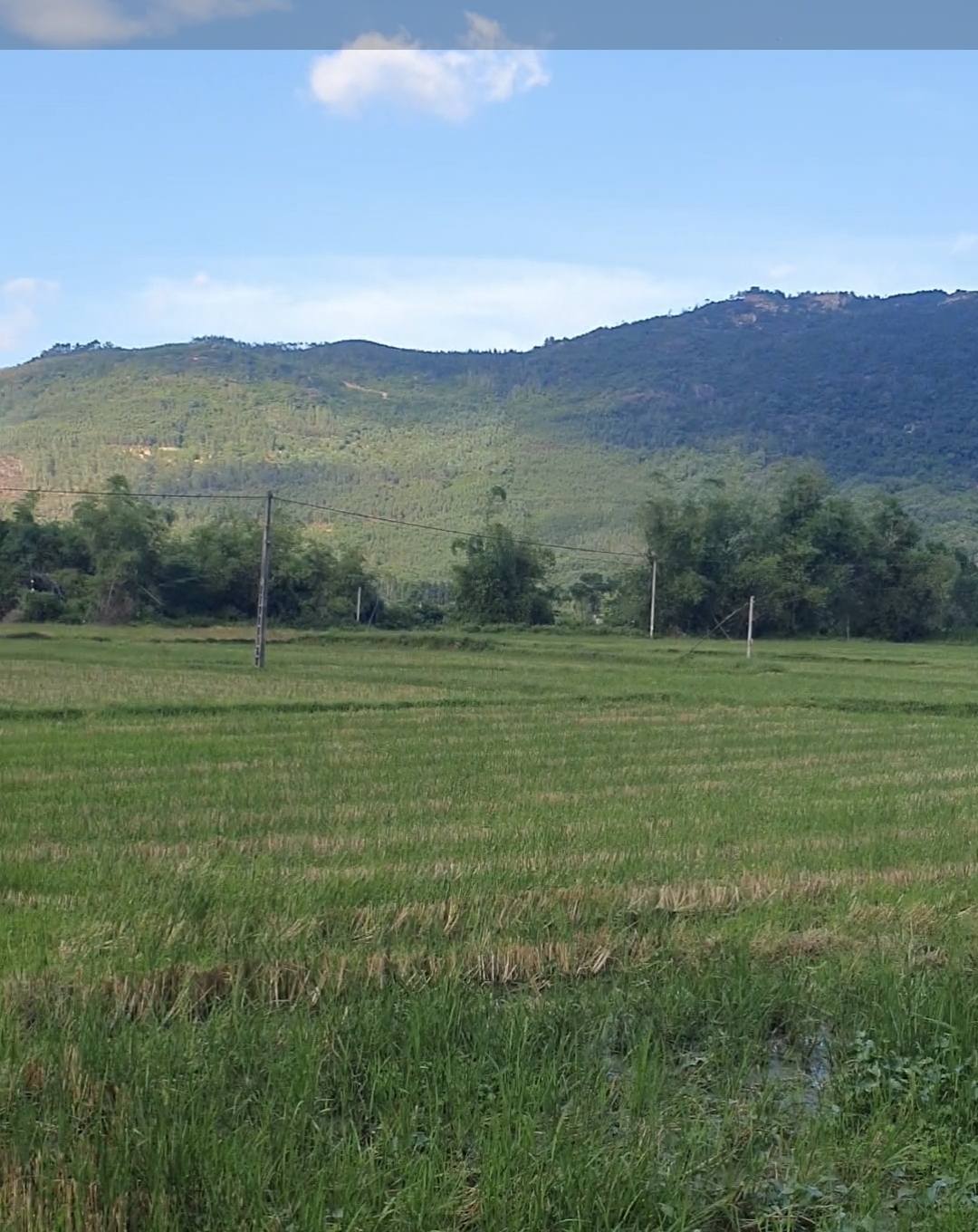 Cần bán lô đất rẻ nhất khu vực thuộc Phước Thành, Tuy Phước, Bình Định  #350tr 14100022