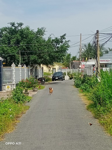 CẦN BÁN LÔ ĐẤT TẠI ẤP THỌ KHƯƠNG-XÃ BÌNH PHÚ-HUYỆN GÒ CÔNG TÂY-TỈNH TIỀN GIANG 14125324