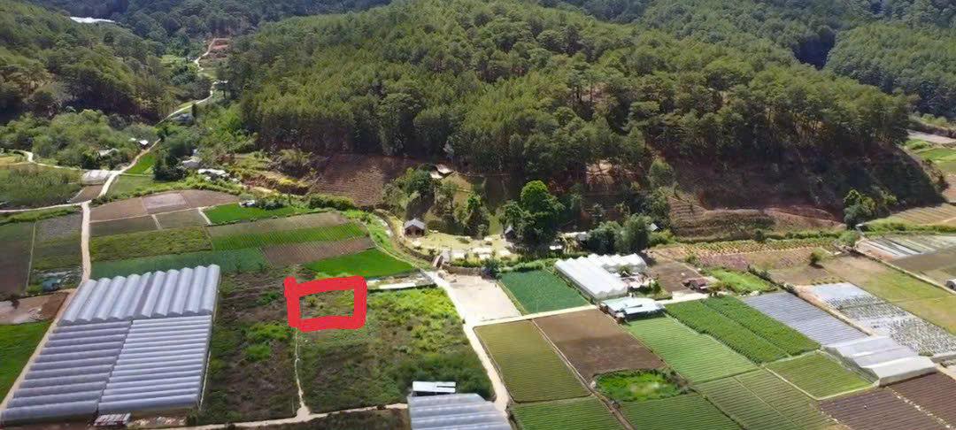 Bán đất Mimosa Đà Lạt gần cà phê Kẻng chỉ 1ty3 14126372