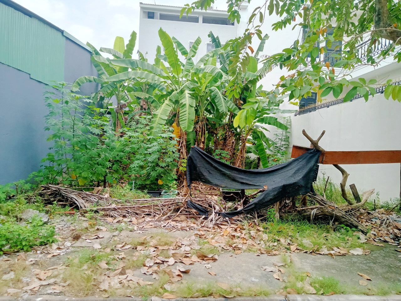 Bán lô đất Biệt thư Wiew Sông 175,5m2 KDC ấp 5 Phong phú, xã Phong Phú, BC- 72 triệu/m2 TL 14126395