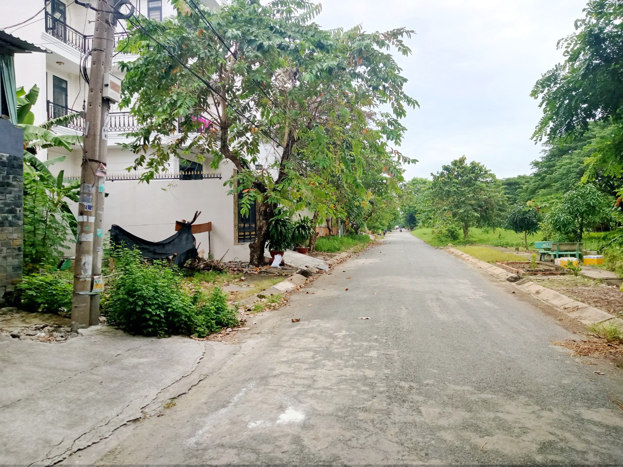 Bán lô đất Biệt thư Wiew Sông 175,5m2 KDC ấp 5 Phong phú, xã Phong Phú, BC- 72 triệu/m2 TL 14126395