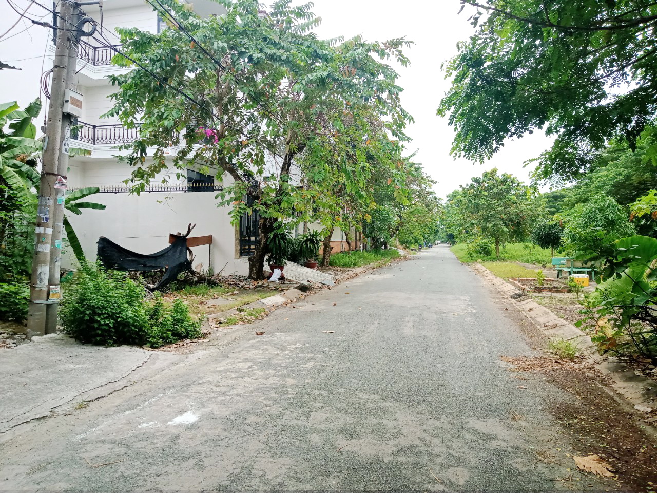 Bán lô đất Biệt thư Wiew Sông 175,5m2 KDC ấp 5 Phong phú, xã Phong Phú, BC- 72 triệu/m2 TL 14126395