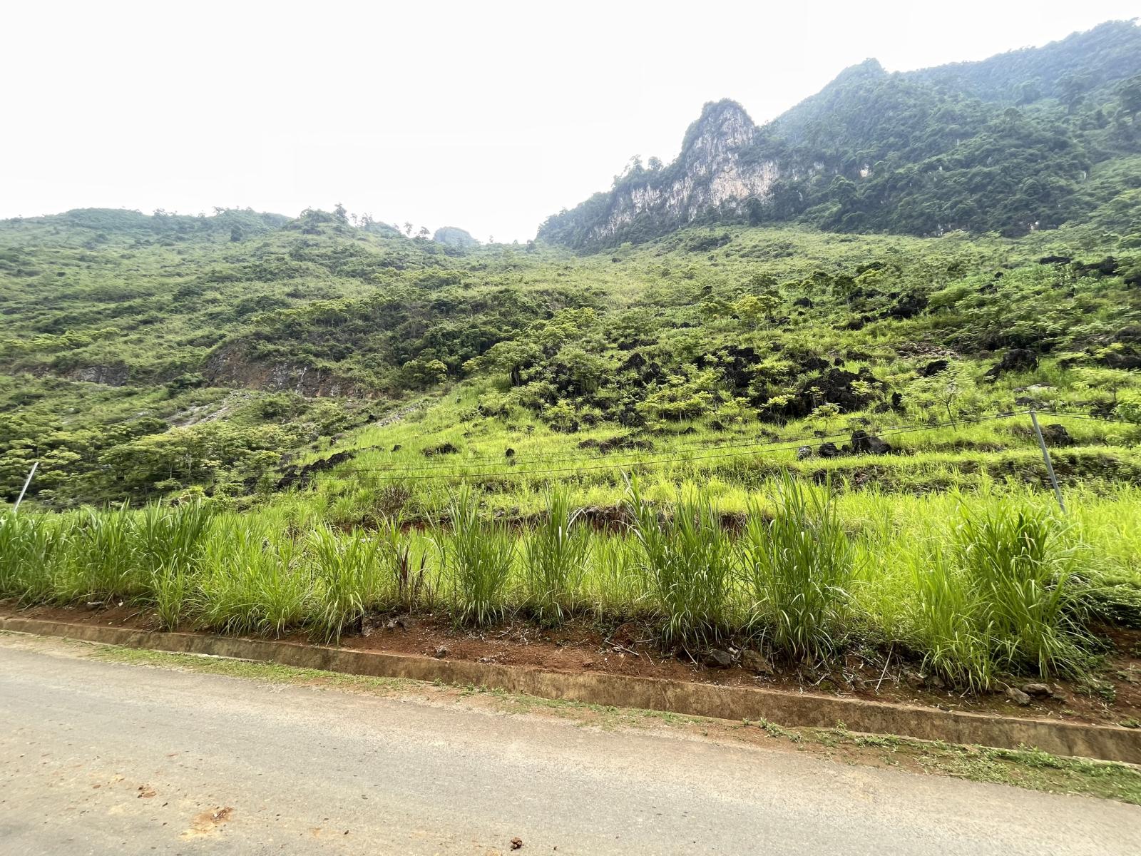 Thanh khoản nhanh lô đất khoảng 850m2 gần trung tâm Hà Giang 14145672