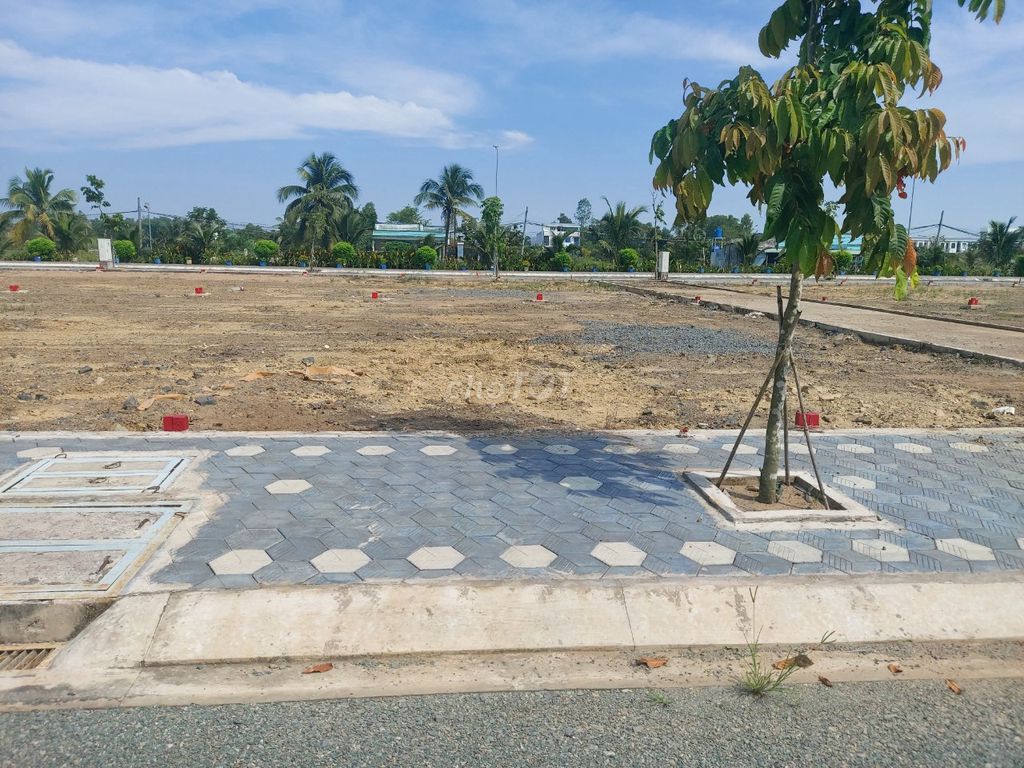 Bán đất Bình Chánh full thổ cư giá rẻ 14146252