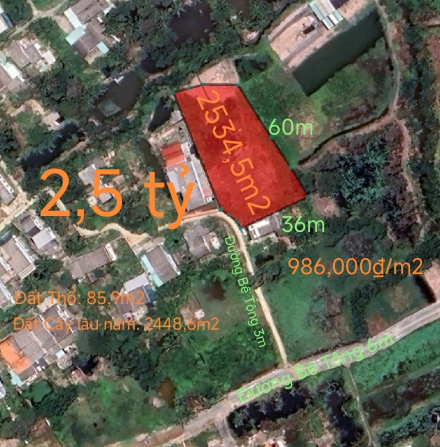 Bán gấp lô đất thổ mặt tiền Đường Nguyễn Hoàng Anh giá 1,95 tỷ 14160749