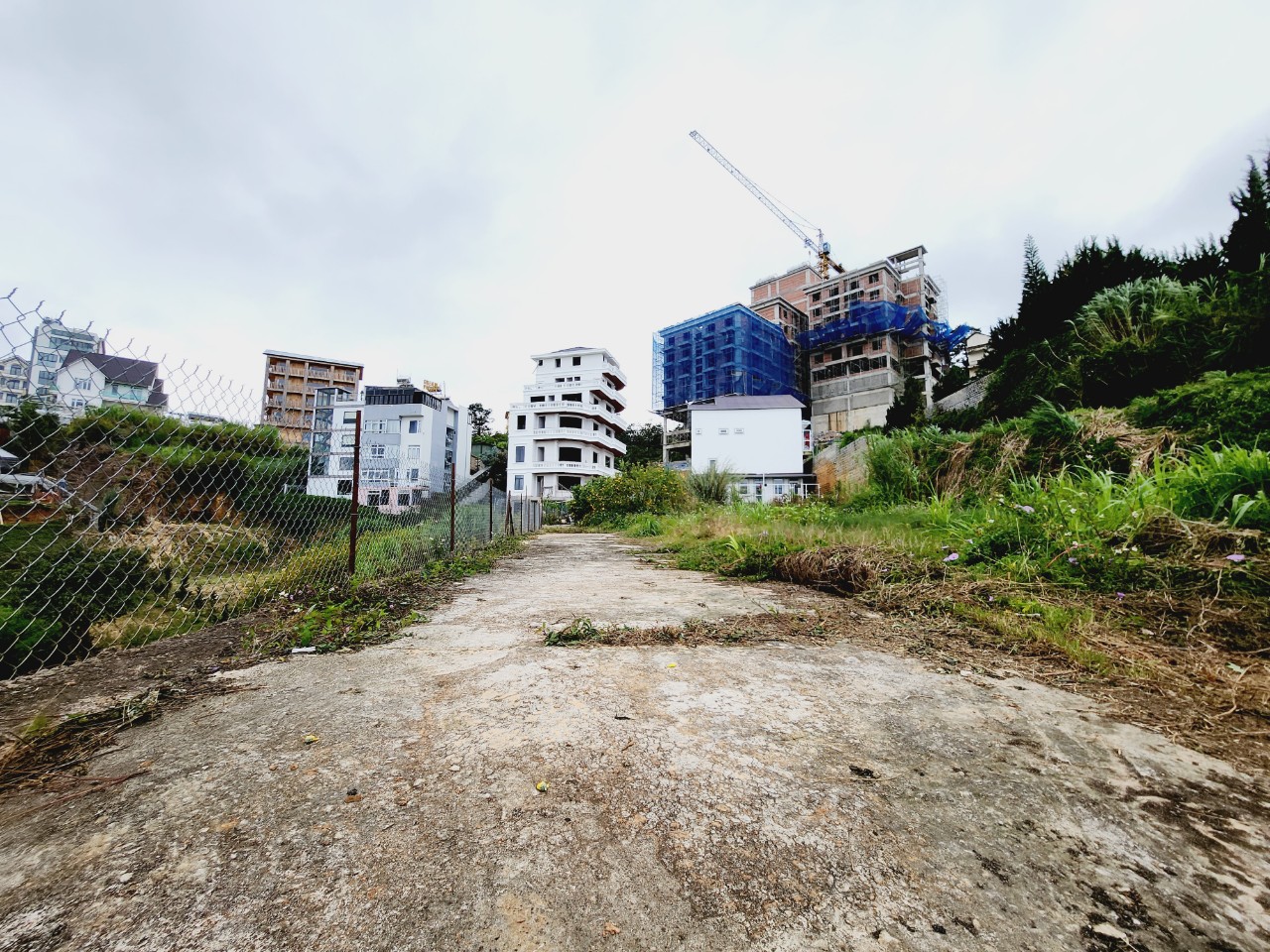 Bán Đất Đà Lạt - HXH View Đẹp 14164108