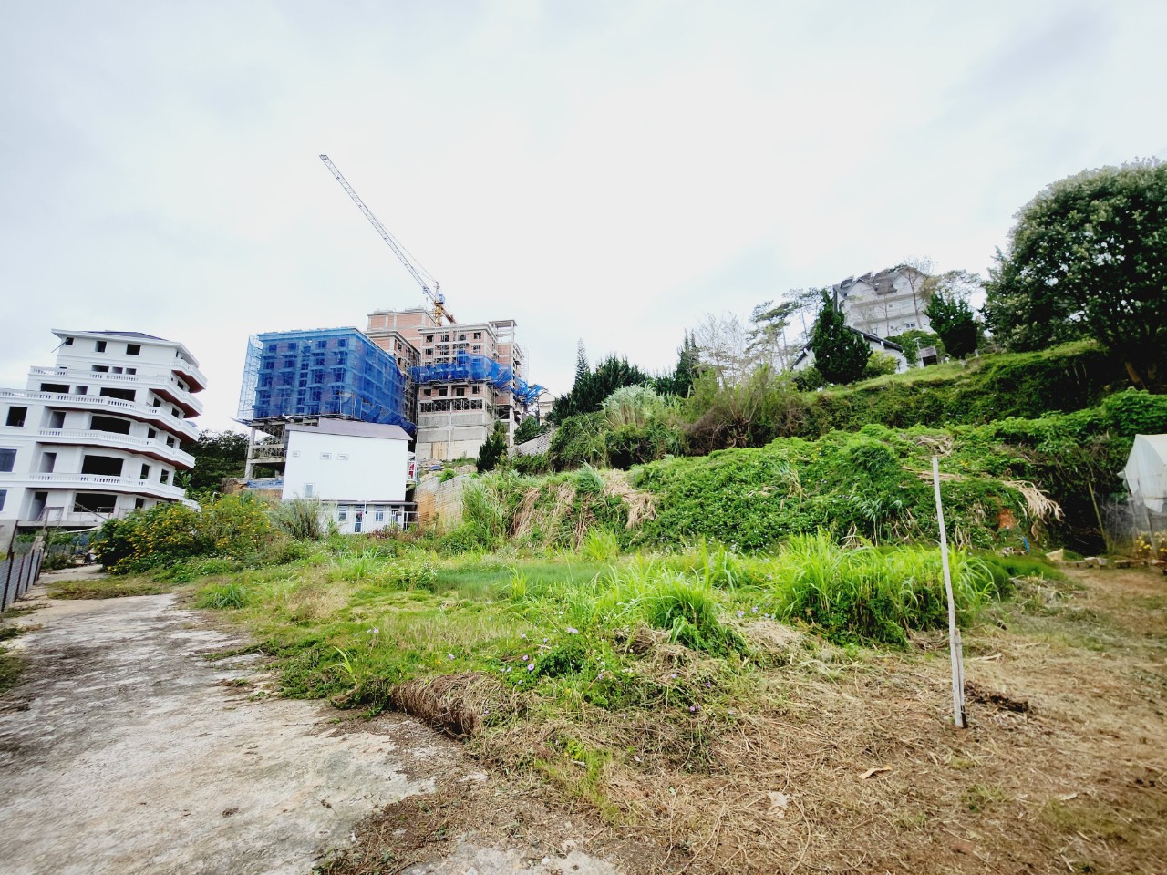 Bán Đất Đà Lạt - HXH View Đẹp 14164108