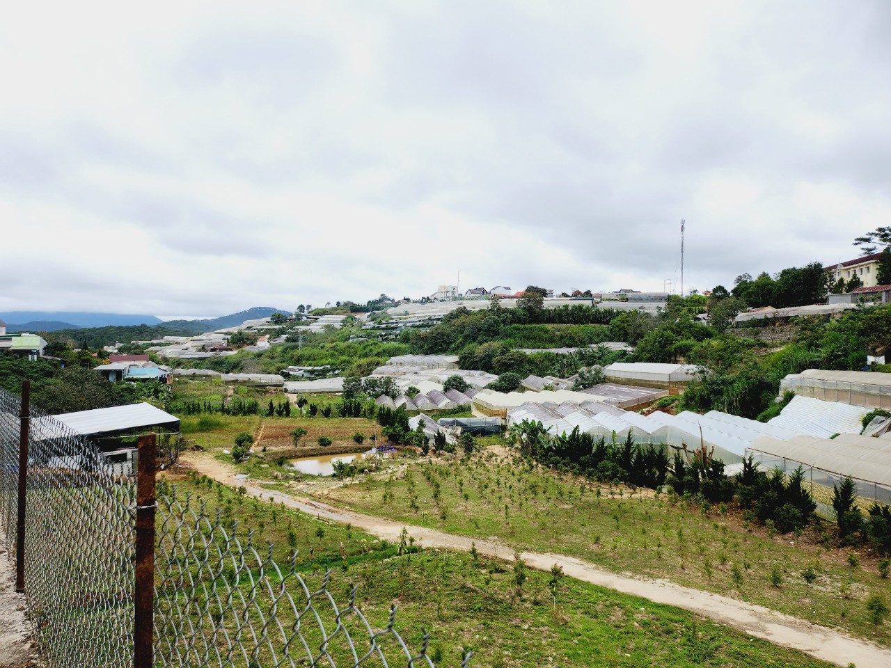 Bán Đất Đà Lạt - HXH View Đẹp 14164108