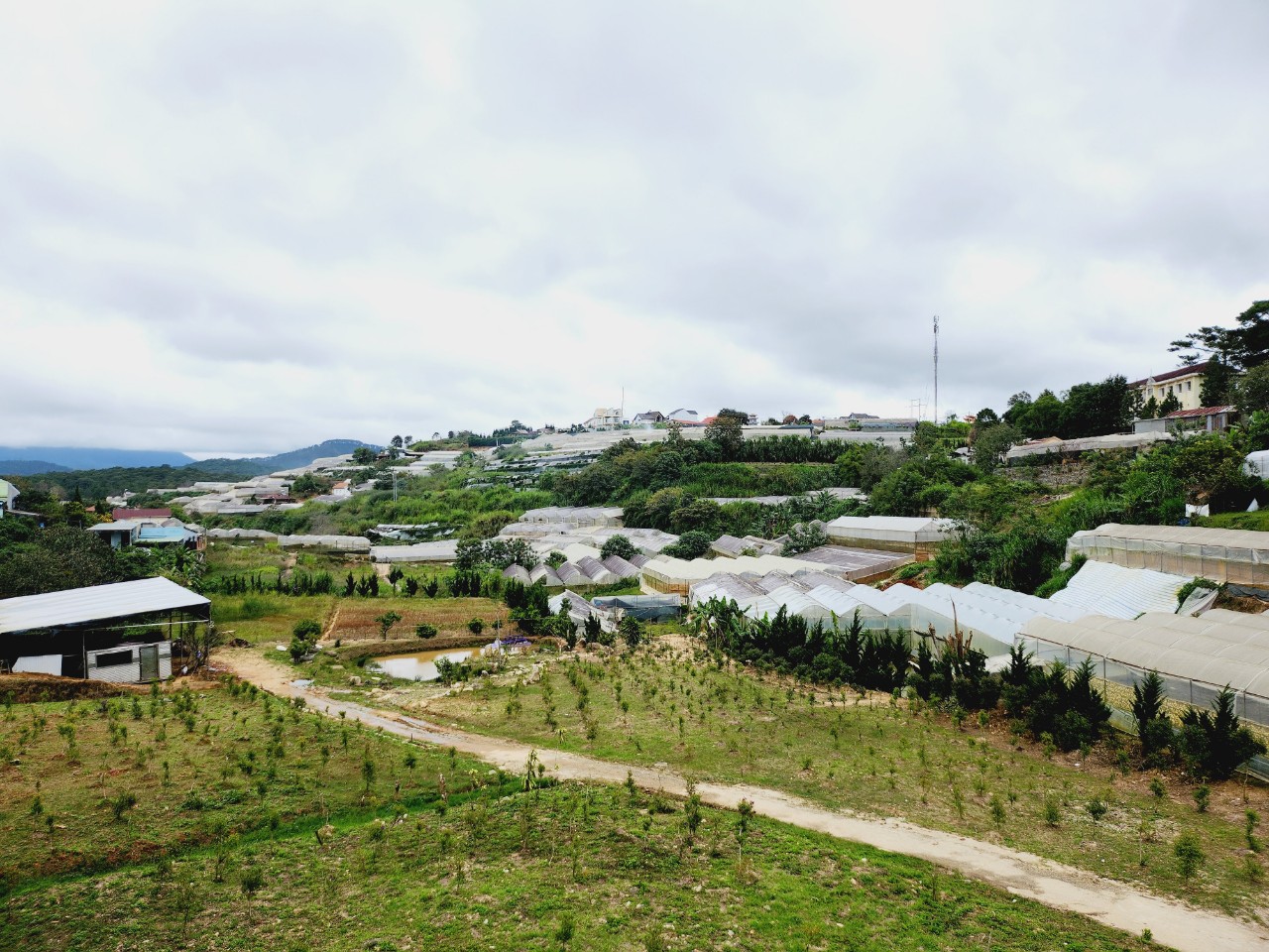 Bán Đất Đà Lạt - HXH View Đẹp 14164108