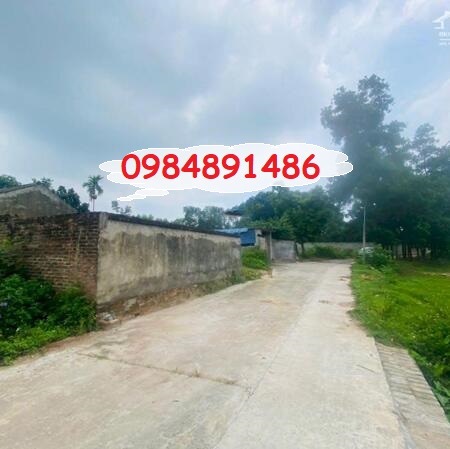 ⭐Chính chủ cần bán đất Full thổ cư giá rẻ mặt tiền đường Phạm Tu, Tân Hương, Phổ Yên, Thái Nguyên, 8,2 tỷ; 0984891486
 14173074