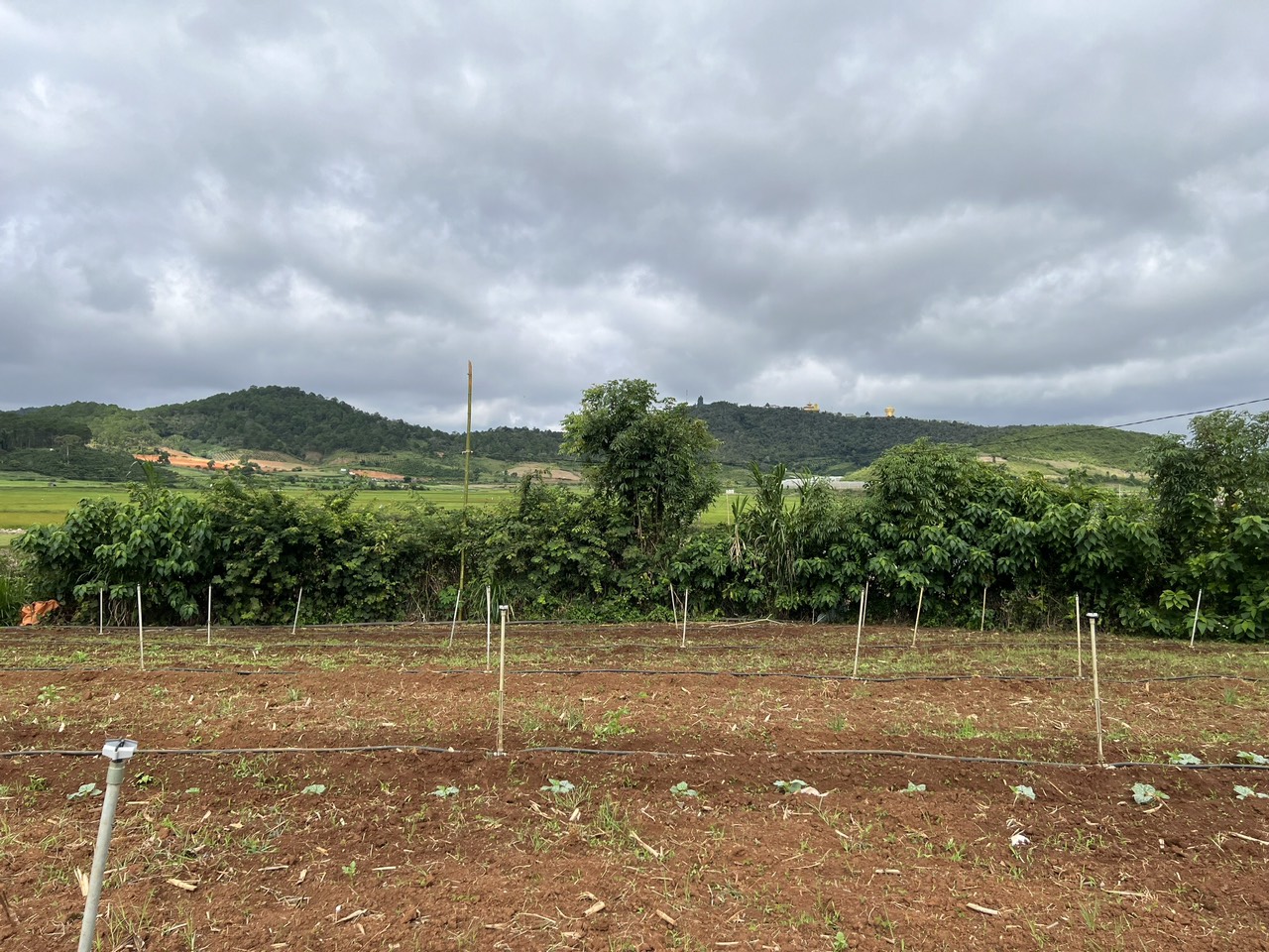 🔥 Chỉ 2tỷ ACE sở hữu ngay khuôn đất rộng đẹp 14173226