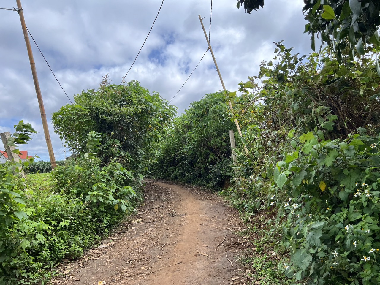 🔥 Chỉ 2tỷ ACE sở hữu ngay khuôn đất rộng đẹp 14173226