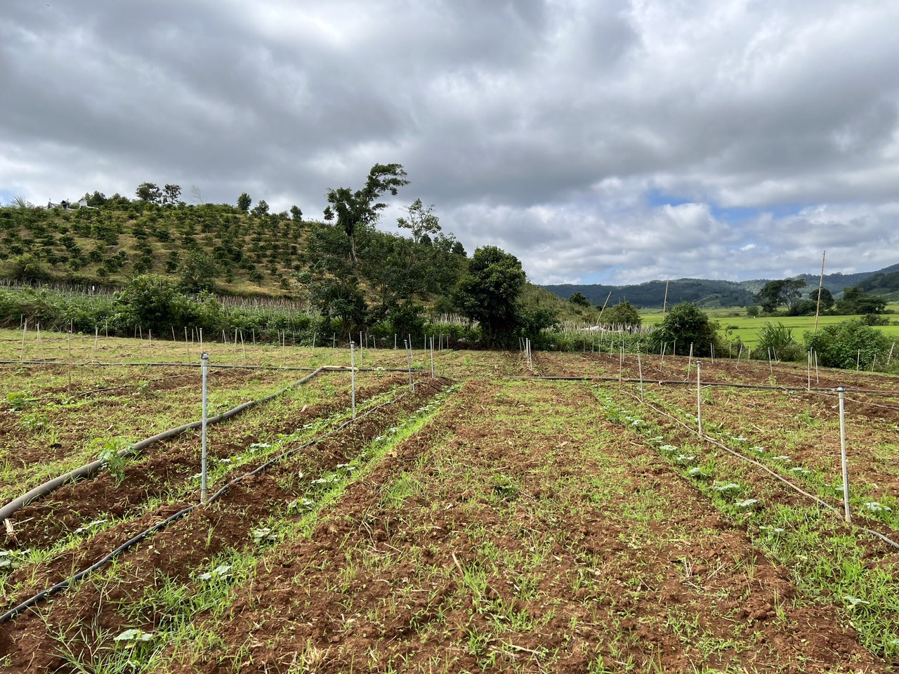 🔥 Chỉ 2tỷ ACE sở hữu ngay khuôn đất rộng đẹp 14173226